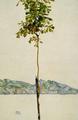 [Little Tree, Chestnut Tree, Lake Constance]