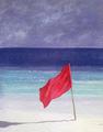 [Beach Flag - Storm Warning]