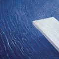 [Diving Board]