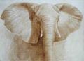 [Elephant]