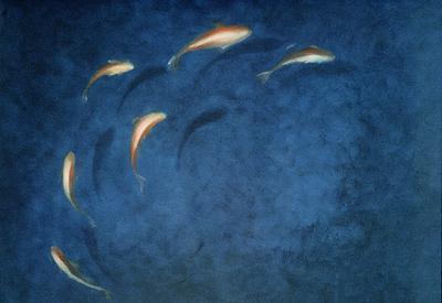 [Seligman - Goldfish Pool] 