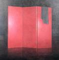 [Red Screen, 2005]