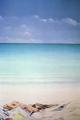 [Sun, Sand and Money I]