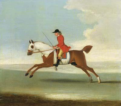 [Seymour - Galloping Racehorse] 