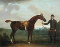 [Old Fox held by a Groom]