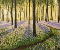 [Sunrise in Hallerbos Forest]
