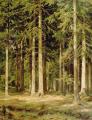 [Fir Tree Wood]