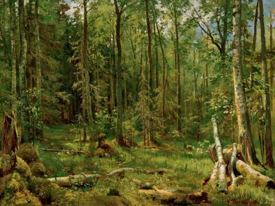 [Shishkin - Mixed Forest] 