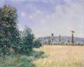 [Sahurs Meadows in Morning Sun]