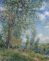 [Trees by a River]