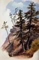 [Rocky Cliff]