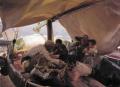 [Lunch on the Fishing Boat]