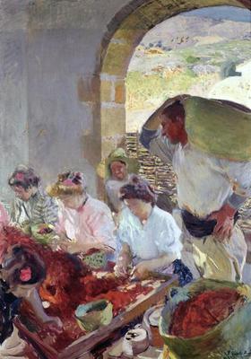 [Sorolla - Preparing the Dry Grapes] 