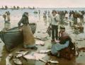 [A Fish Sale on a Cornish Beach]
