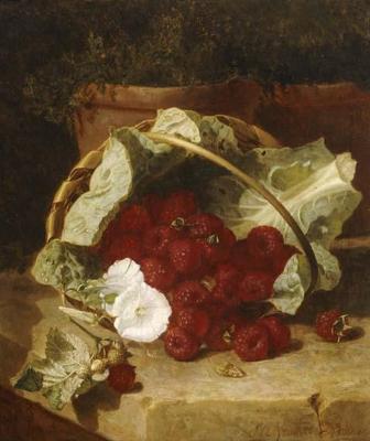 [Stannard - Raspberries in a Cabbage Leaf Lined Basket with White Convulvulus on a Stone Ledge] 