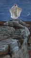 [Christ Goes to the Mountain to Pray]