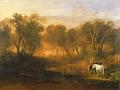 [The Forest of Bere]