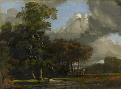 [Turner of Oxford - Woodland Landscape] 
