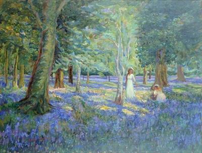 [Tyndall - Bluebell Wood] 