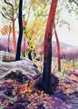 [Bush Fire Survivors]