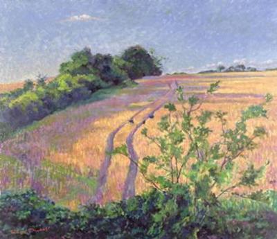 [Tyndall - Golden Summer] 