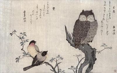 [Utamaro - An Owl and Two Eastern Bullfinches] 