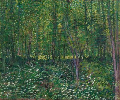 [Van Gogh - Woods and Undergrowth, aka Trees and undergrowth] 