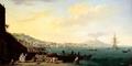 [View of Naples with Vesuvius]
