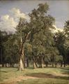 [Elm Trees in Prater]