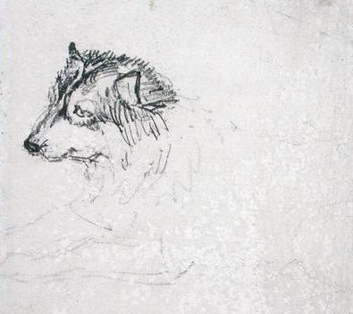 [Ward - Arctic Dog] 