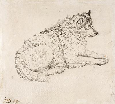 [Ward - Arctic Dog, Facing Right] 