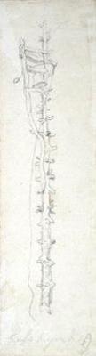 [Ward - Bell on a Notched Post] 