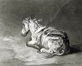 [Donkey at Rest]