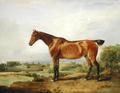 [Hunter in a Landscape]