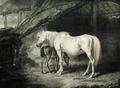 [Primrose and Foal]