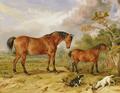 [Reformer, Blucher, Tory and Crib]