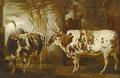 [Two Extraordinary Oxen]