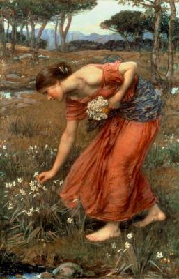 [Waterhouse - Narcissus] 