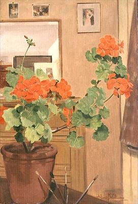 [Williams - Geraniums in a Studio Corner] 
