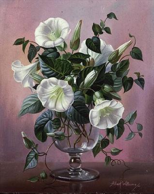 [Williams - Morning Glory] 