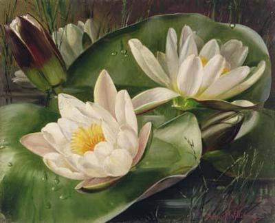 [Williams - Water Lilies] 